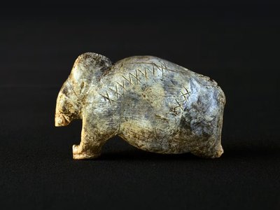 Article featured image