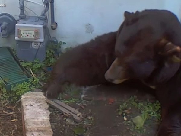 Article featured image