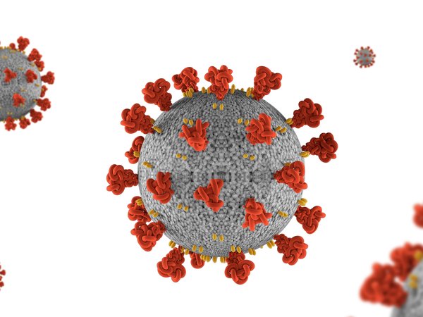 Article featured image