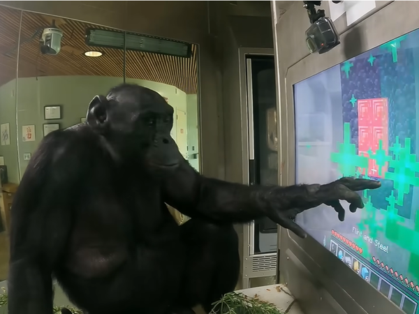 Article featured image