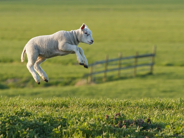 Article featured image