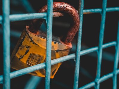 Article featured image