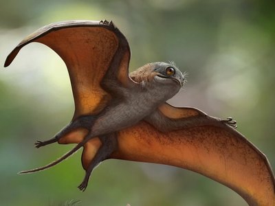 Article featured image