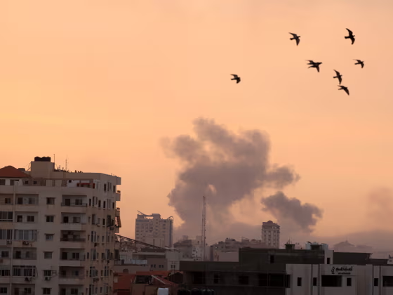 Article featured image