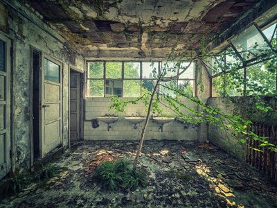 Article featured image