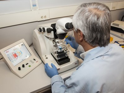 Article featured image