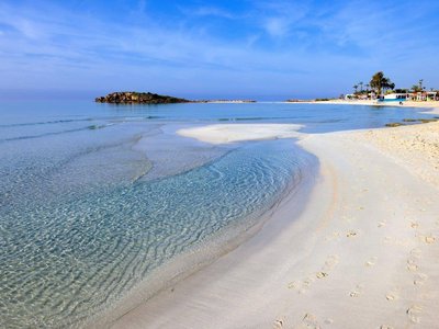 Article featured image