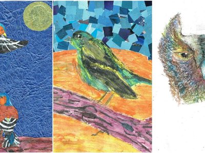 Article featured image