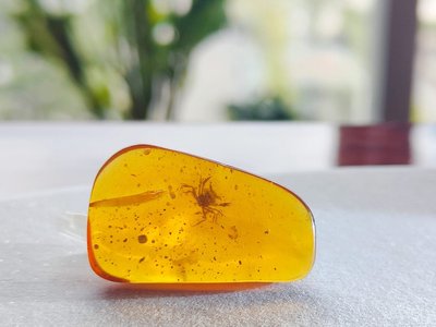 Article featured image