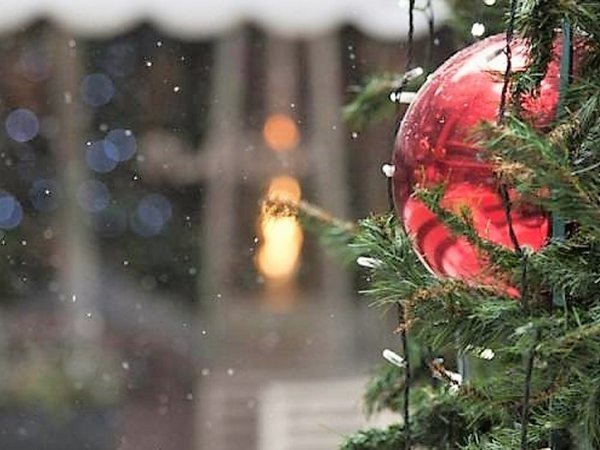 Article featured image