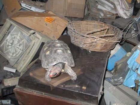 Article featured image