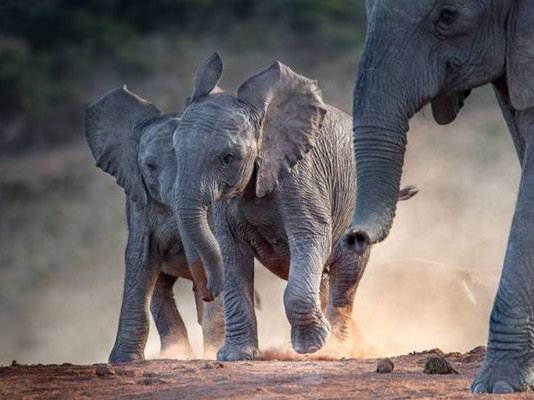 Article featured image