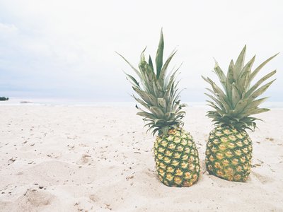 Article featured image