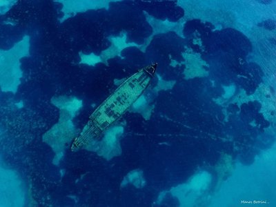 Article featured image