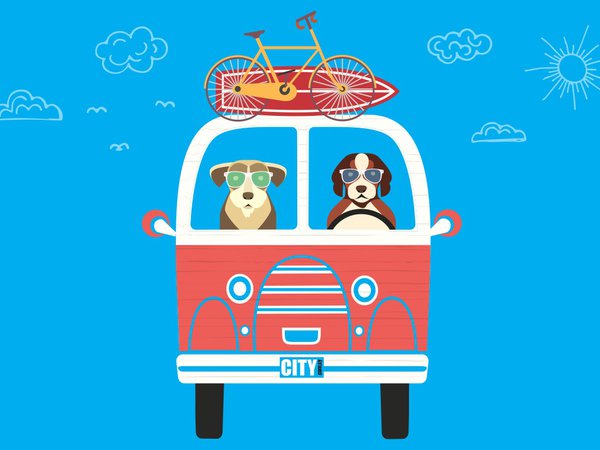 Article featured image