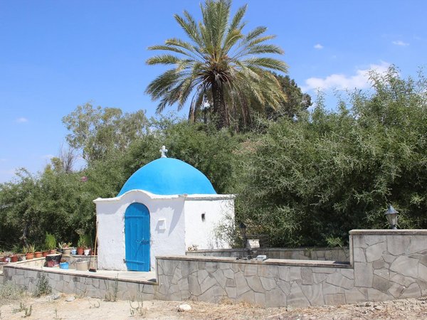 Article featured image