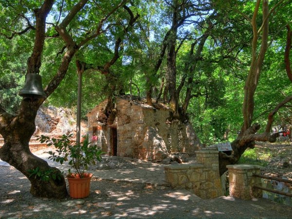 Article featured image