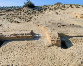 Article featured image