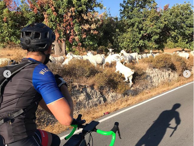 Article featured image