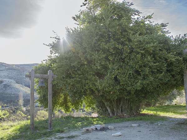 Article featured image