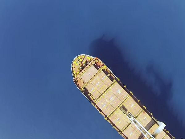 Article featured image