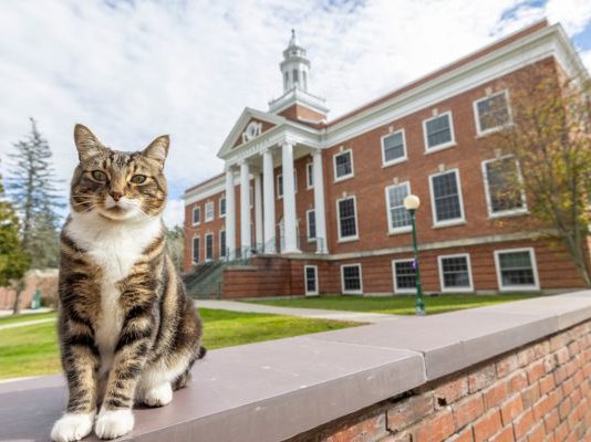 Article featured image