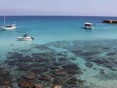 Article featured image