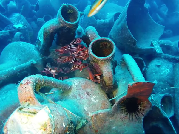 Article featured image