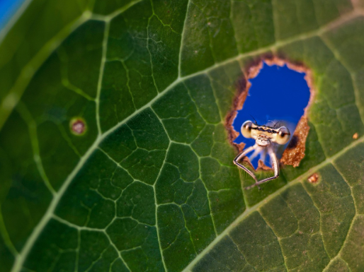 Article featured image
