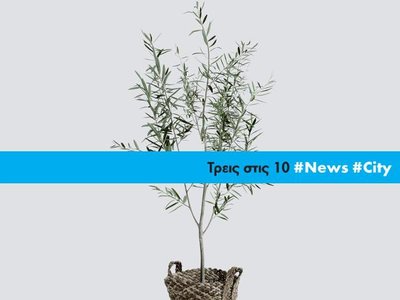 Article featured image