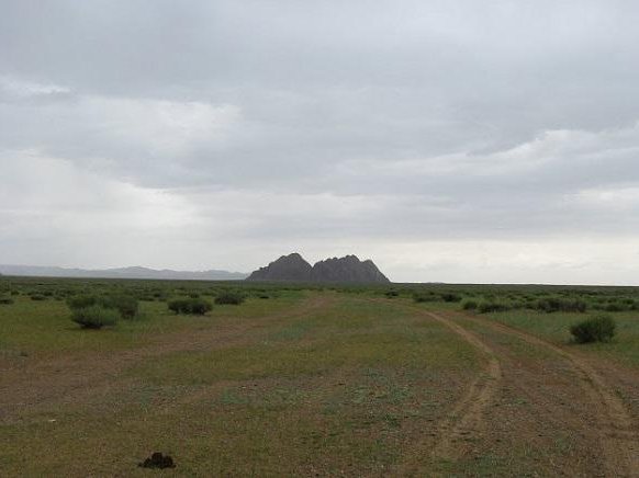 Article featured image