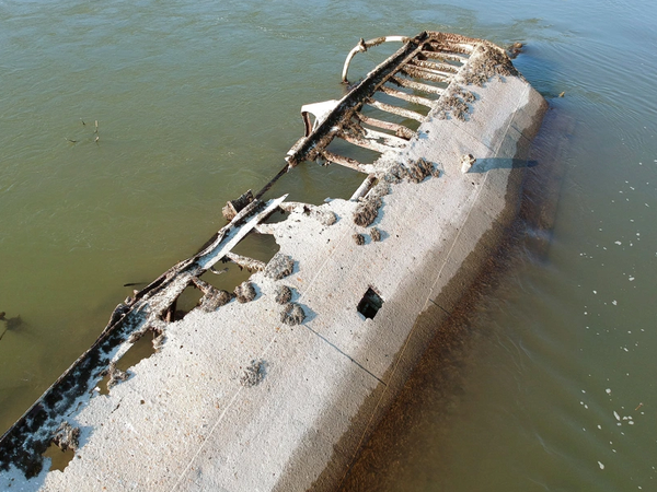 Article featured image