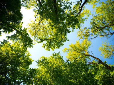 Article featured image