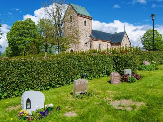 Article featured image