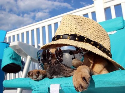 Article featured image