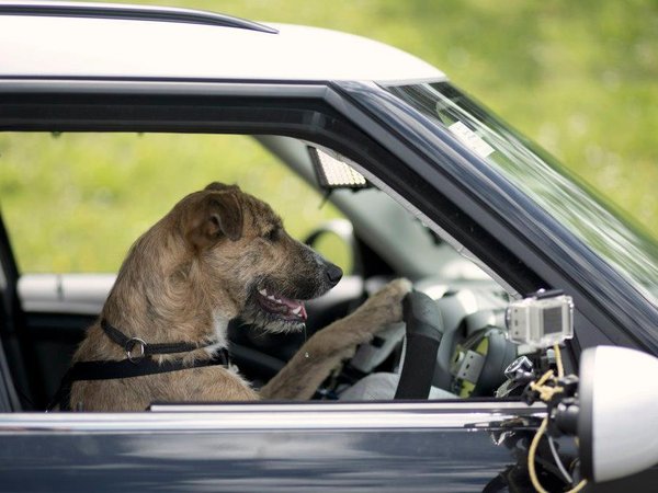 Article featured image