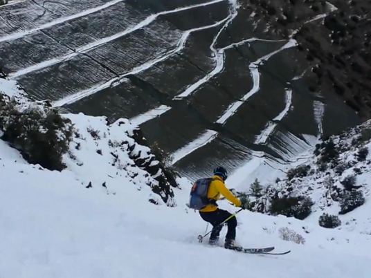 Article featured image