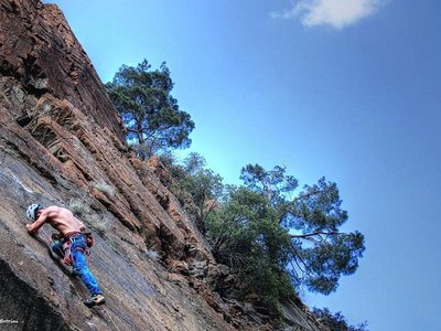 Article featured image