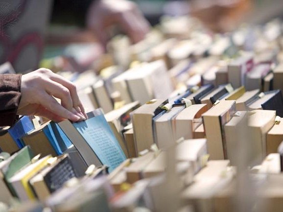 Article featured image