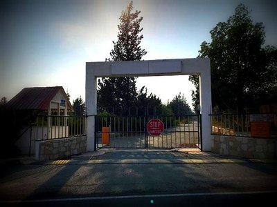 Article featured image