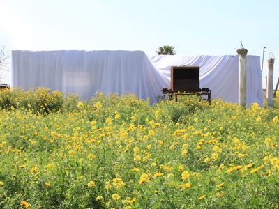 Article featured image