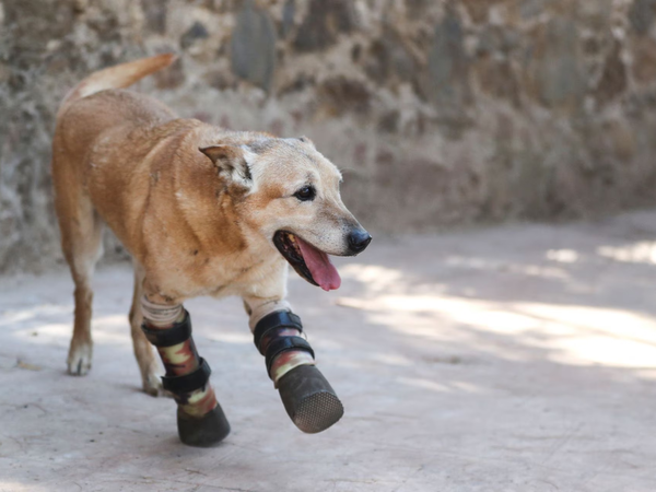 Article featured image