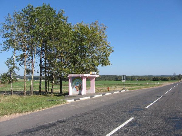 Article featured image