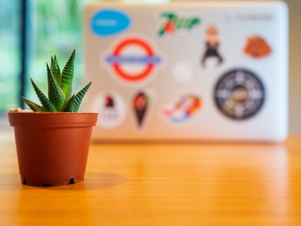 Article featured image