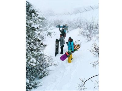 Article featured image