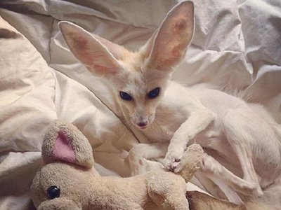 Article featured image