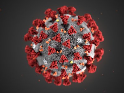 Article featured image