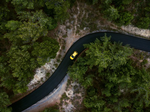 Article featured image