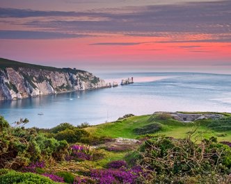 Article featured image