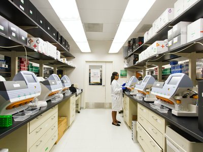 Article featured image